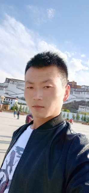 阳光下的小草的第一张照片--兰州上门女婿服务网
